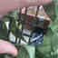 Photos des clients 2 de 4