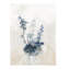 Marine Forest I Print by Derek Shaw-26773194-26773195