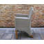 Nicole Patio Dining Armchair with Cushion