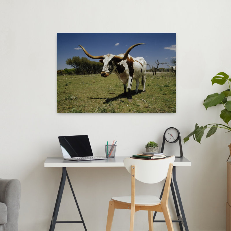 Texas Longhorn, bovin debout dans un champ, paysage contemporain contemporain, art mural, H 24 po x l 36 po
