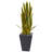 Sansevieria Artificial Plant in Slate Planter