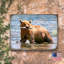 Bloc de bois ours Schlegel-1665569438