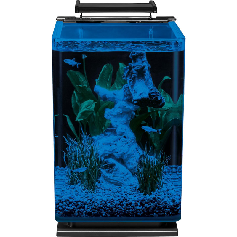Ensemble d'aquarium à DEL Portrait, 5 gallons, filtration cachée, noir