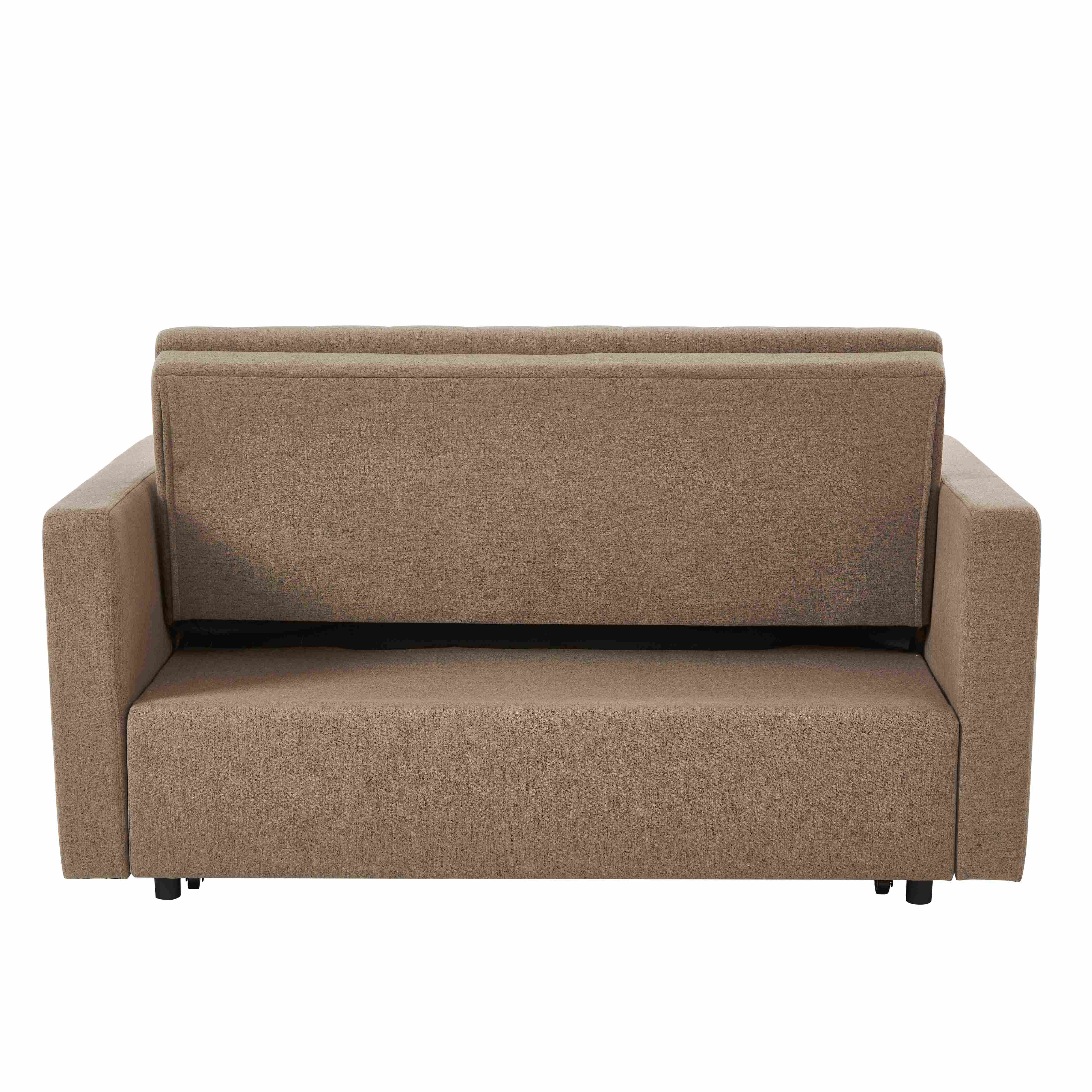 Lateresa 54'' Small Loveseat Pull-Out Sofa Bed - Adjustable Backrest With 2 Soft Pillows