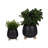 Ereka Stoneware and Ceramic Footed Round Planters with Triple Ball Base Design Set of 2-1852085795