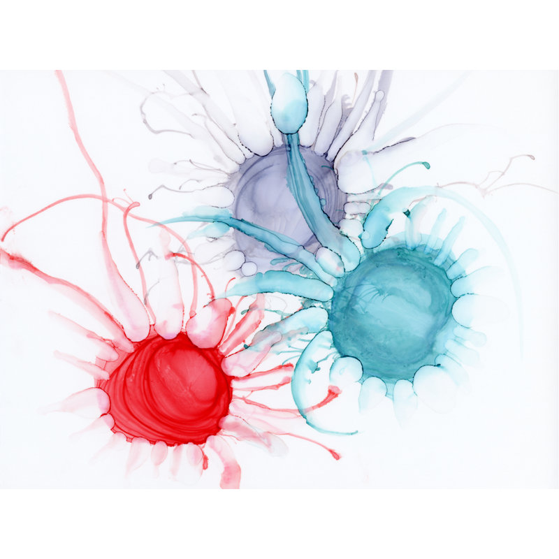 Orbits Evolve par KC Pollak - Peinture, Toile avec cadre noir, H 24 po x l 32 po, H 25 po x l 33 po