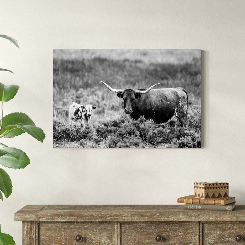 B&W Longhorn II, H 24 po x l 36 po x P 1,25 po