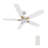 Demitrus 52" Smart Ceiling Fan With Remote, Light Kit IncludedWorks With Google Assistant And Amazon Alexa,Siri Shortcut.