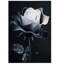 Wrapped Canvas Print-1654984774