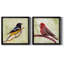 Backyard Birds I - Ensemble de 2 cadres photo sur toile-665859510-665859513