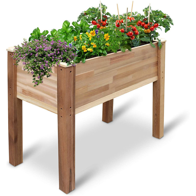 Adamo Wood Elevated Planter, 30" H x 34" W x 18" D