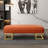 Upholstered Bench-758435637