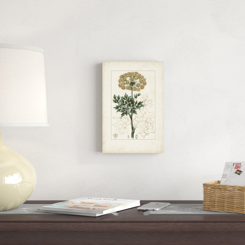 Antique Turpin Botanical VI, H 12 po x l 8 po