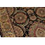 Chantel Oriental Area Rug