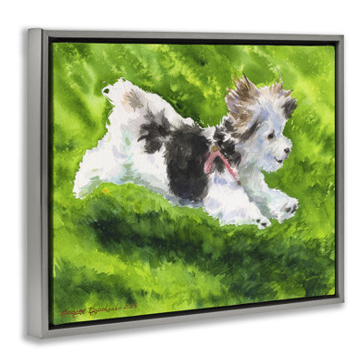 Cadre flottant Happy Maltipoo, design par George Dyachenko