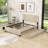 Queen Size Velvet Upholstered Platform Bed with 2 Drawers and Twin XL Trundle-1875080612