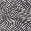 Iconic Zebra Fabric-31247134