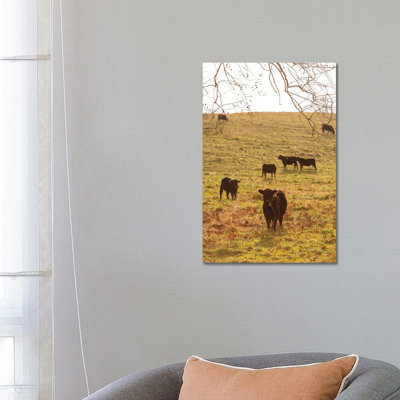 Fall Field II by Aledanda - Print on Canvas
