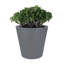 Handmade Pot Planter-37904845-37904847
