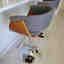Photos des clients 1 de 1