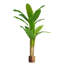 180cm Faux Banana Tree in Metal Pot-113668063