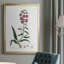 «Rose Botanical I», toile encadrée de qualité supérieure - prête à être accrochée-864015008-864015070
