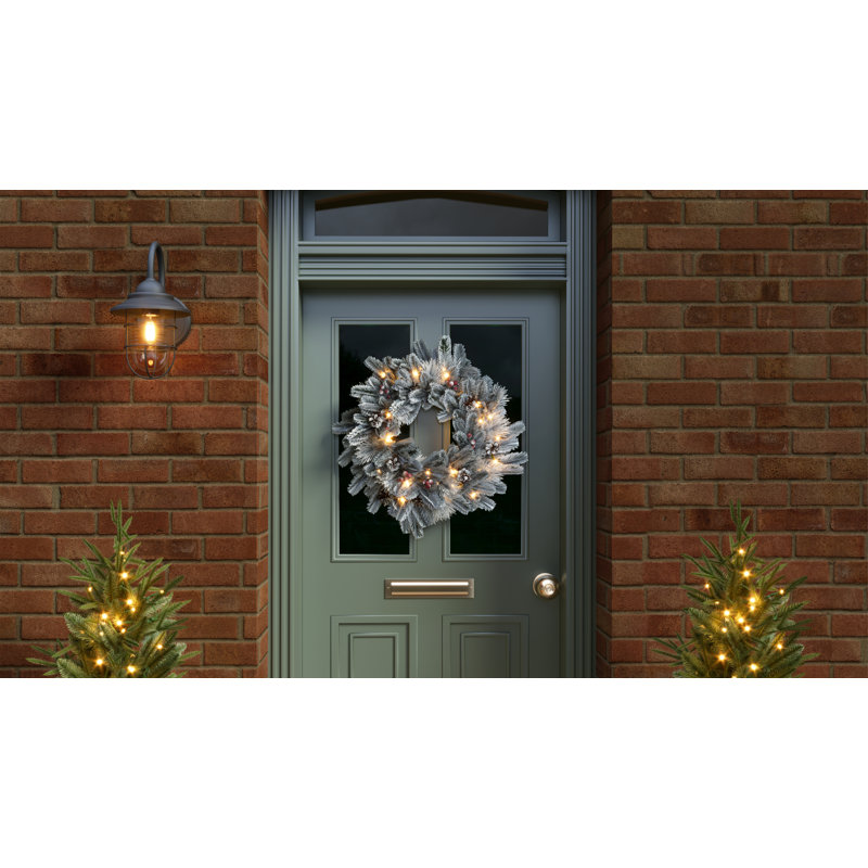 Anisia Faux Lighted Plastic 60cm Wreath