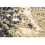 Tapis oriental contemporain abstrait à motif végétal noué à la main 4 x 6