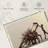 Contemporary Ballet-1998836274