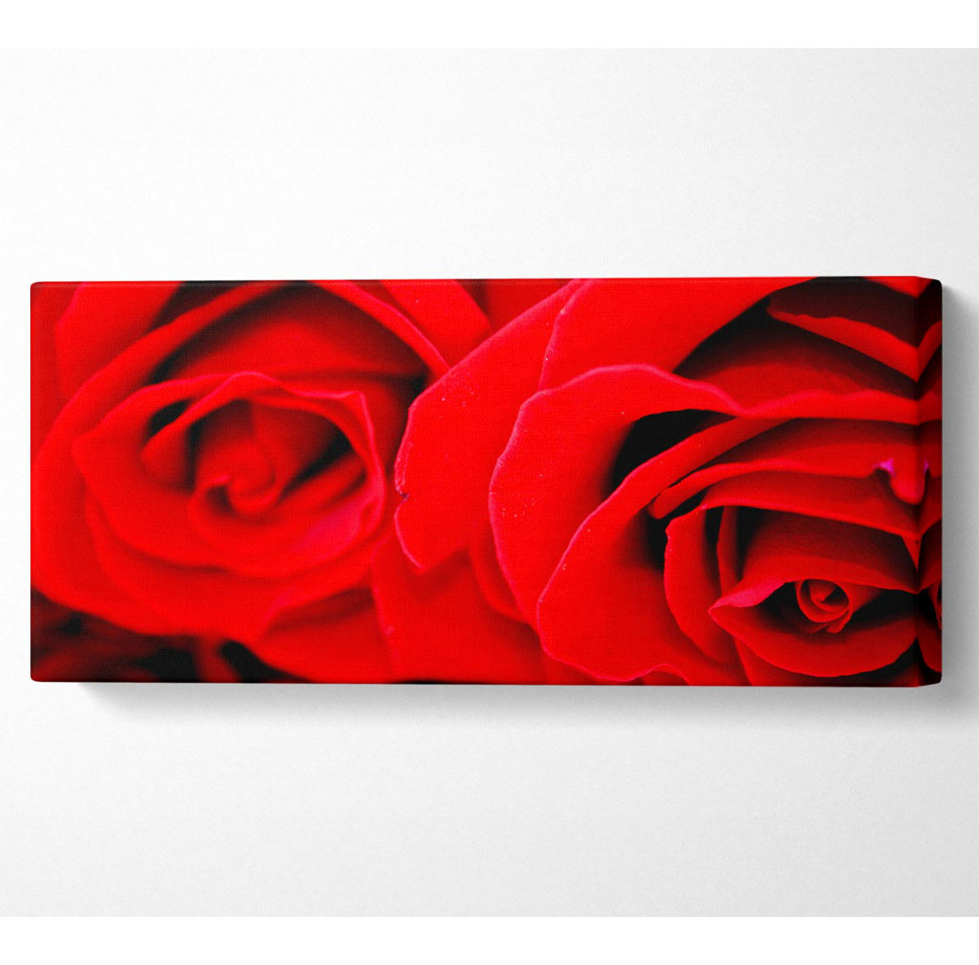 Rote Rose Close-Up Zwillinge - Kunstdrucke auf Leinwand