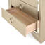 Joleen Chest of 5 Drawers