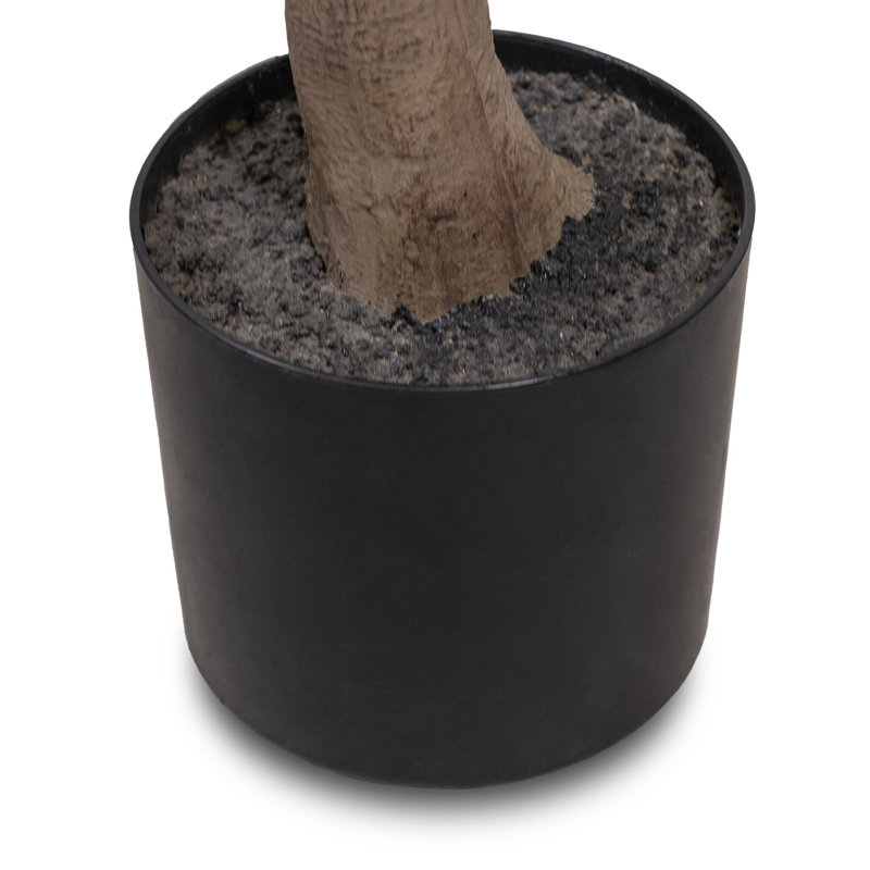 Faux Aralia Tree-Faux Aralia Tree-8'