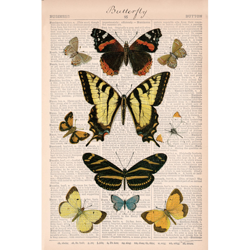 American Butterflies I by Sue Schlabach - Wrapped Canvas Print, 76cm H x 51cm W