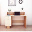 Irmak 120cm Rectangular Computer Desk and Cabinet