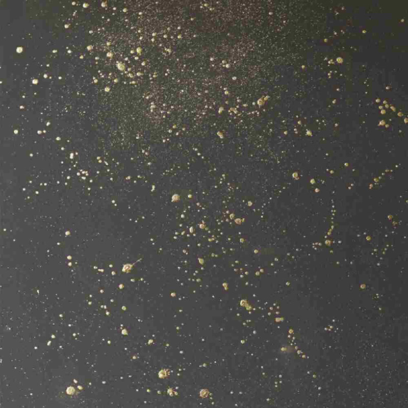 Cosmos Wallpaper, 26" W x 144" L, Blush Pink/Gold/White
