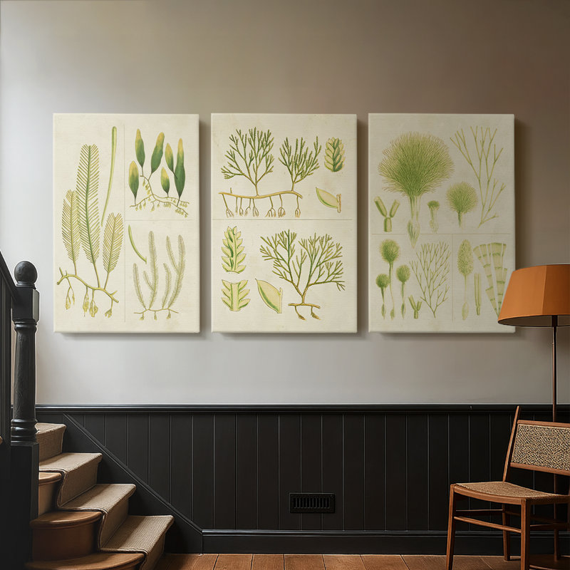 Herbe de mer rétro I - Toile tendue avec châssis sur mesure - 3 pièces, H 12 po x l 24 po