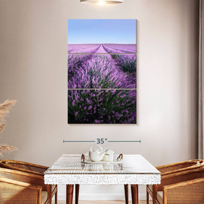 Lavande française Alvord Provence
