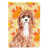 Cavapoo sélectionné