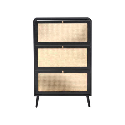 12 Pair Shoe Storage Cabinet