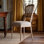 Cane Shield Dining Chair