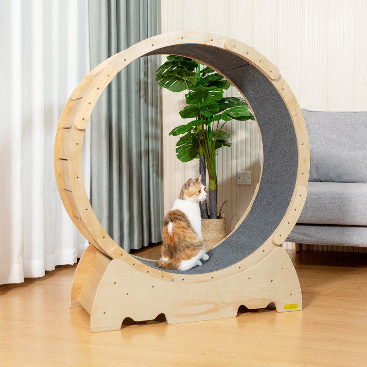 Amerah 41.14" Large Cat Treadmill Exercise Running Wheel, Noiseless