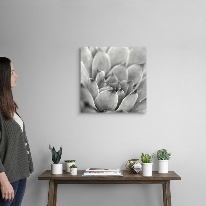 «Garden Succulent I», art mural sur toile, Toile tendue, H 20 po x l 20 po x P 1,25 po