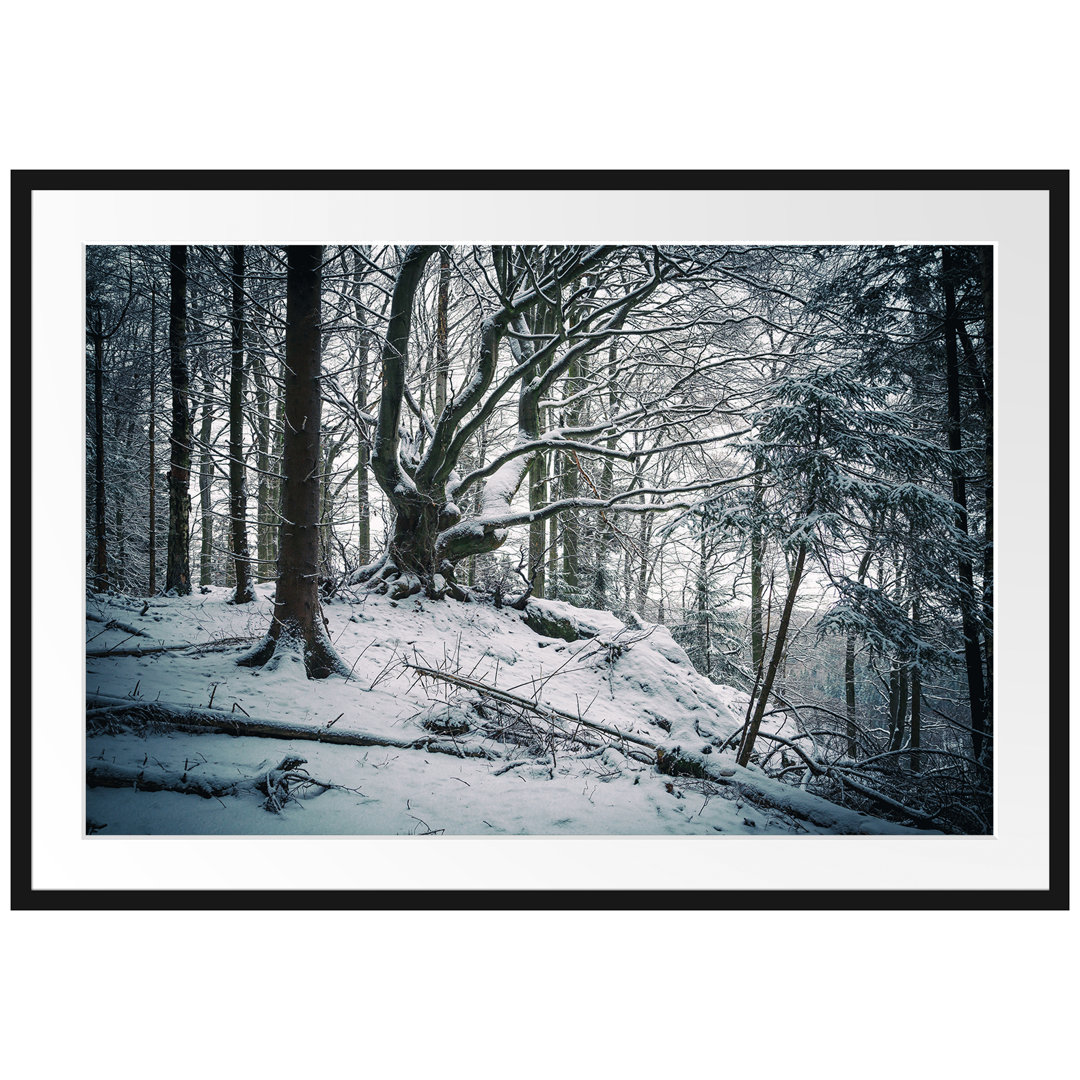 Schneebedeckter Wald Gerahmtes Poster