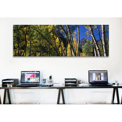 " Aspen Trees With Mountains In The Background, Maroon Bells, Aspen, Pitkin County, Colorado, USA " by Panoramic Images