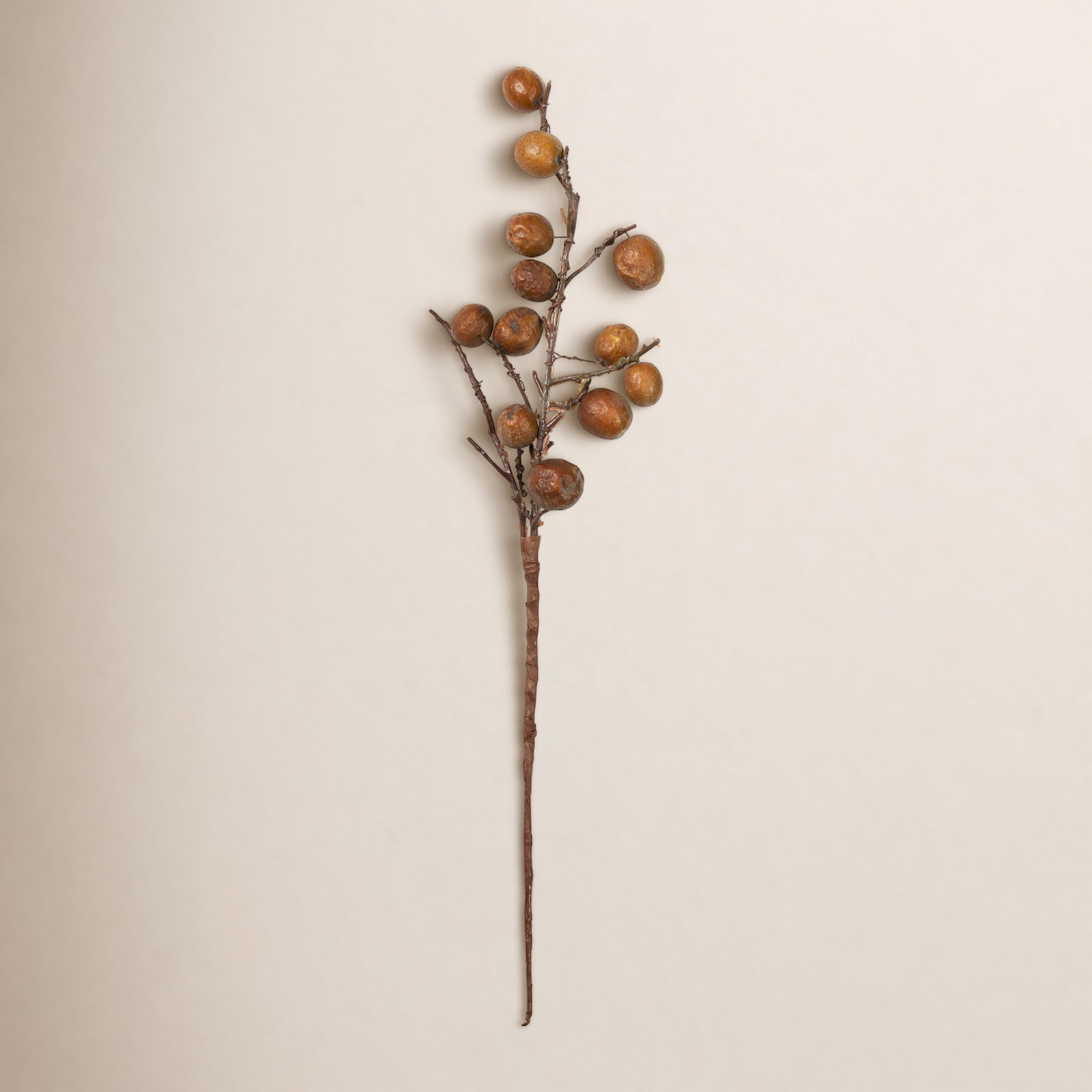 Botanical Stems