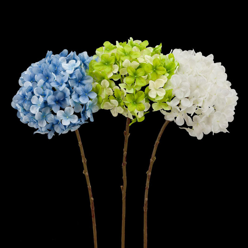 Hortensia Hortensia Sprays, Bleu marine