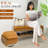 Shoe Storage Bench-477522593