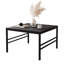 Coffee Table with Storage