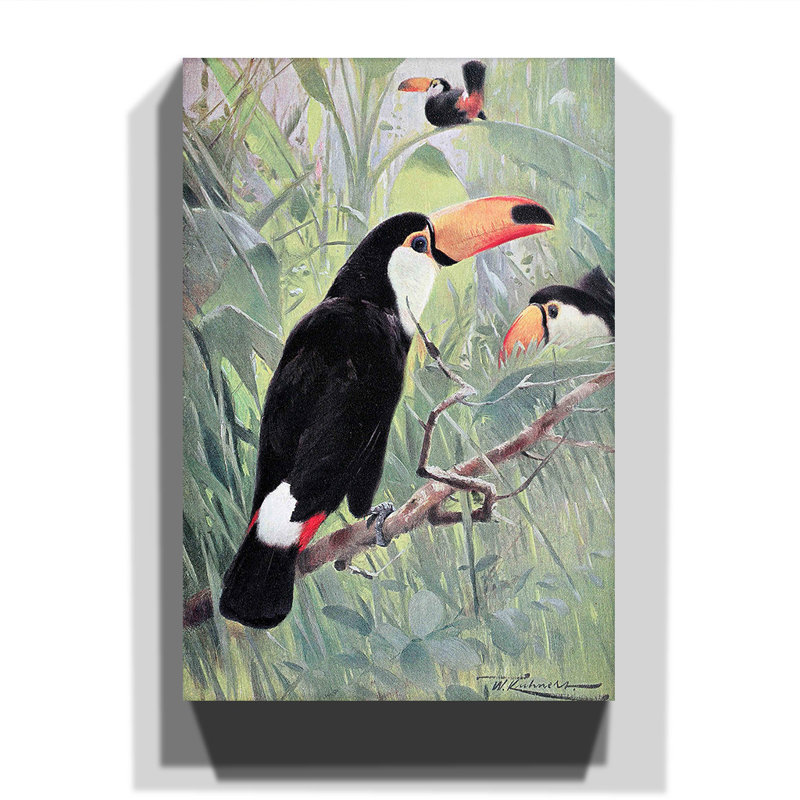 Wilhelm Kuhnert - Wrapped Canvas Painting, 60cm H x 40cm W