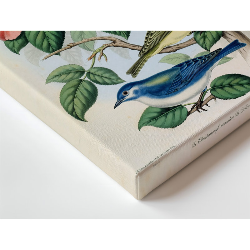 Toile, une magnifique illustration détaillée mettant en vedette quatre oiseaux vibrants perchés sur un mur, une branche délicate ornée d'une toile verte